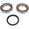 Chain Case Bearing and Seal Kit