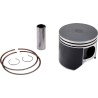 Piston Kit for 2 Stroke