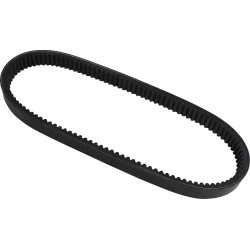 High Performance Belt