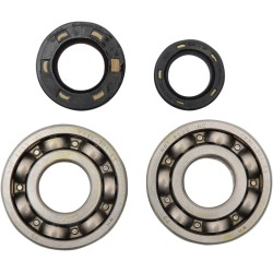 Main Crankshaft Bearing and Seal Kit