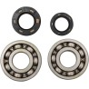 Main Crankshaft Bearing and Seal Kit