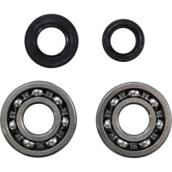 Main Bearing and Seal Kit