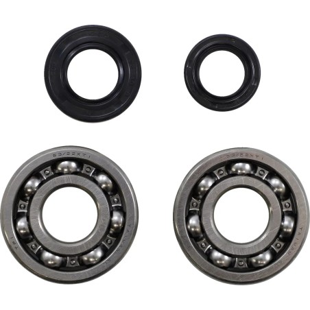Main Bearing and Seal Kit
