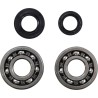 Main Bearing and Seal Kit