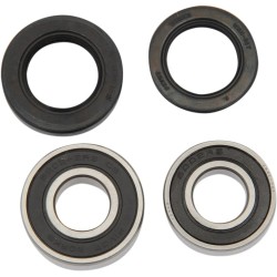 Wheel Bearing and Seal Kit