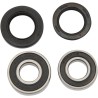 Wheel Bearing and Seal Kit