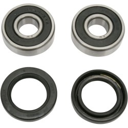 Wheel Bearing and Seal Kit