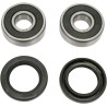 Wheel Bearing and Seal Kit