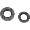 Crankshaft Oil Seal Kit