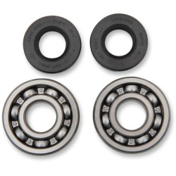Main Crankshaft Bearing and Seal Kit