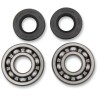Main Crankshaft Bearing and Seal Kit