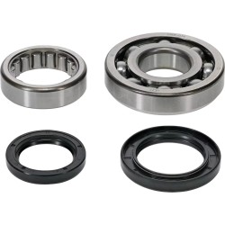 Crankshaft Main Bearing and Seal Kit