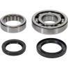 Crankshaft Main Bearing and Seal Kit