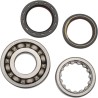 Main Crankshaft Bearing and Seal Kit