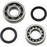 Crankshaft Main Bearing and Seal Kit
