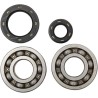 Main Crankshaft Bearing and Seal Kit