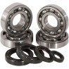 Main Crankshaft Bearing and Seal Kit