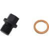 Engine Drain Plug