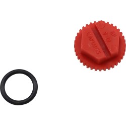 Clutch Cover Drain Plug