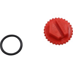 Clutch Cover Drain Plug