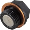 Bouchon de vidange moteur