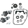583G Gear Drive Camshaft Kit