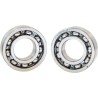 Outer Camshaft Bearing Kit