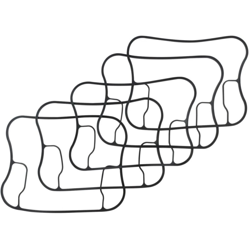 Rocker Gasket