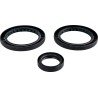 Differential Seal Kit