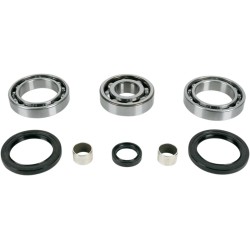Bearing Seal Kit