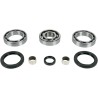 Bearing Seal Kit