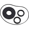 Differential Seal Kit