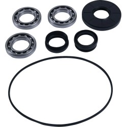 Differential Bearing Seal Kit