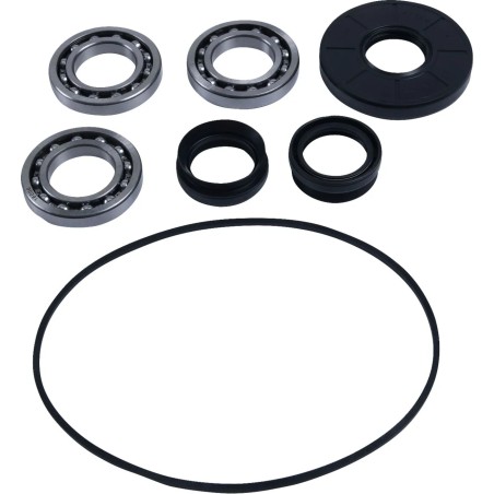 Differential Bearing Seal Kit