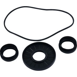 Differential Bearing Seal Kit