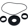 Differential Bearing Seal Kit
