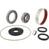 Differential Bearing Seal Kit