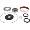 Differential Bearing Seal Kit