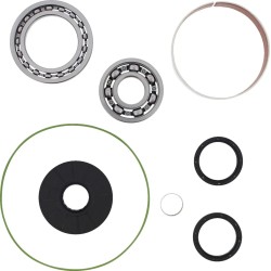 Differential Bearing Seal Kit