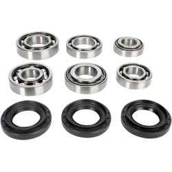 Bearing Seal Kit