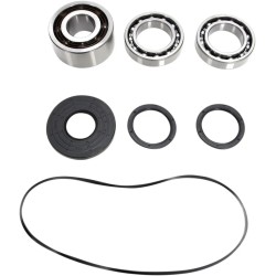 Bearing Seal Kit