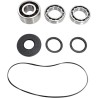 Bearing Seal Kit