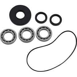 Differential Bearing Seal Kit