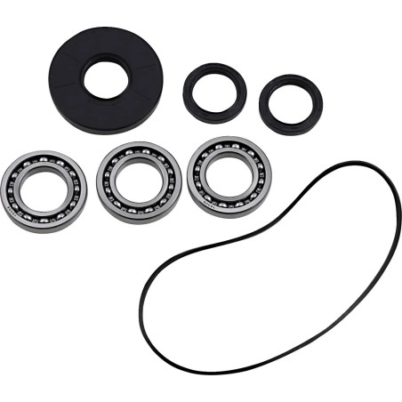 Differential Bearing Seal Kit