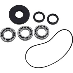 Differential Bearing Seal Kit