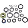 Differential Bearing Seal Kit