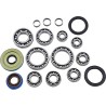 Differential Bearing Seal Kit