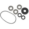 Bearing Seal Kit