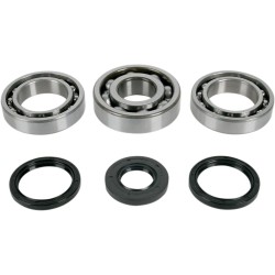 Bearing Seal Kit