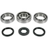 Bearing Seal Kit